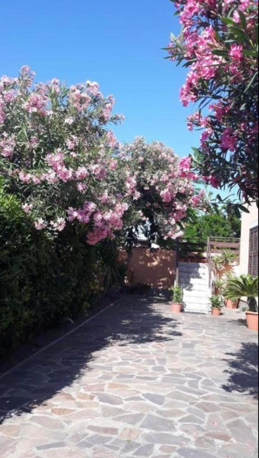 Giorgia Airport 2 Fiumicino Bed and Breakfast Exteriör bild